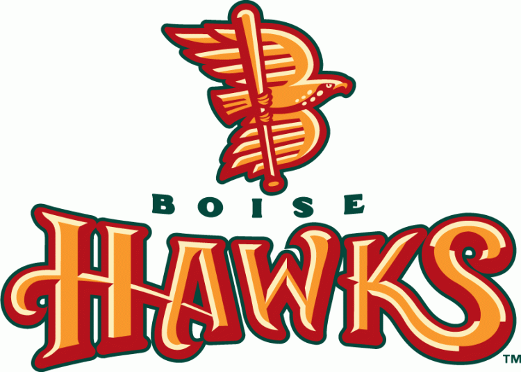 Boise Hawks 2021-Pres Primary Logo iron on transfers for T-shirts